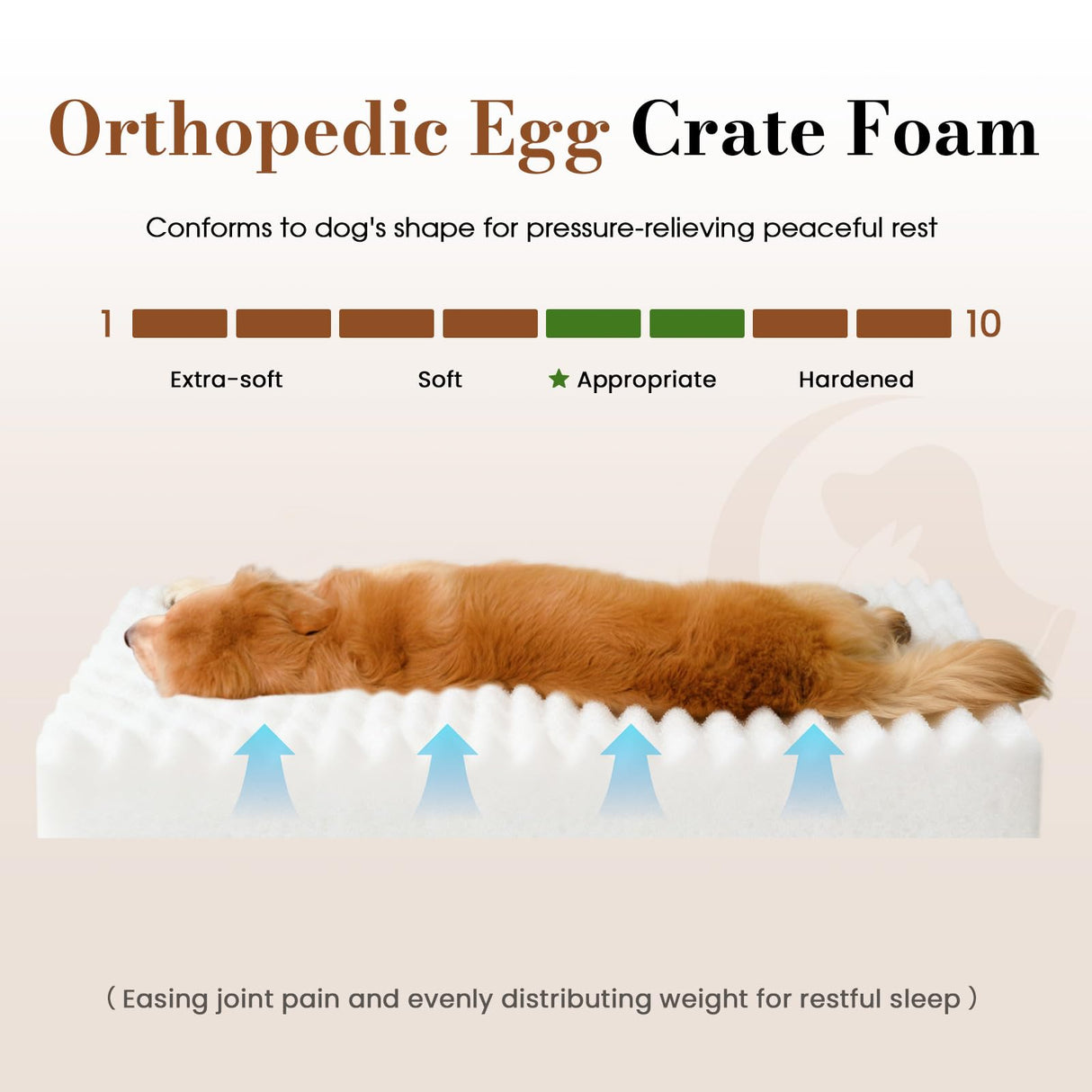 Cozila Orthopedic Dog Bed Medium Size Dog, Pet Beds with Waterproof Lining, Soft Short Plush Surface & Egg Crate Foam, Machine Washable Pet Mat with Removable Cover & Anti Slip Bottom