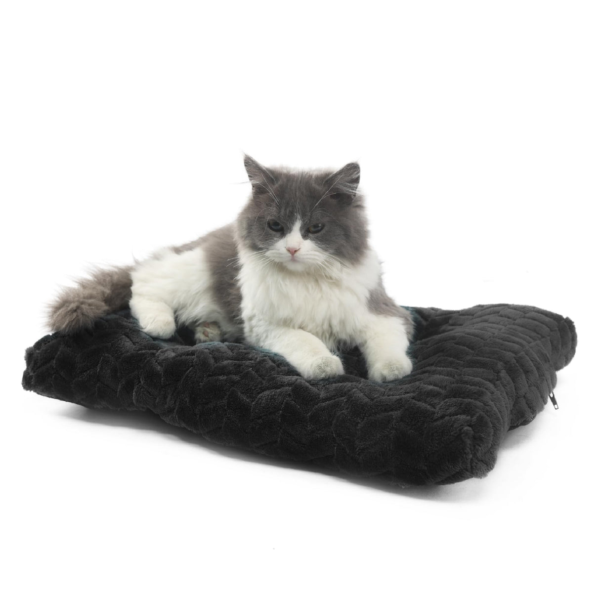 Dog Crate Mat for Dog Cages Black Dog Bed for Small Dogs 18 Inch Dog Crate Bed Washable Dog Mats for Sleeping,Up to 10 lbs Soft and Fluffy Small Dog Bed for Crate Tire Printing Black