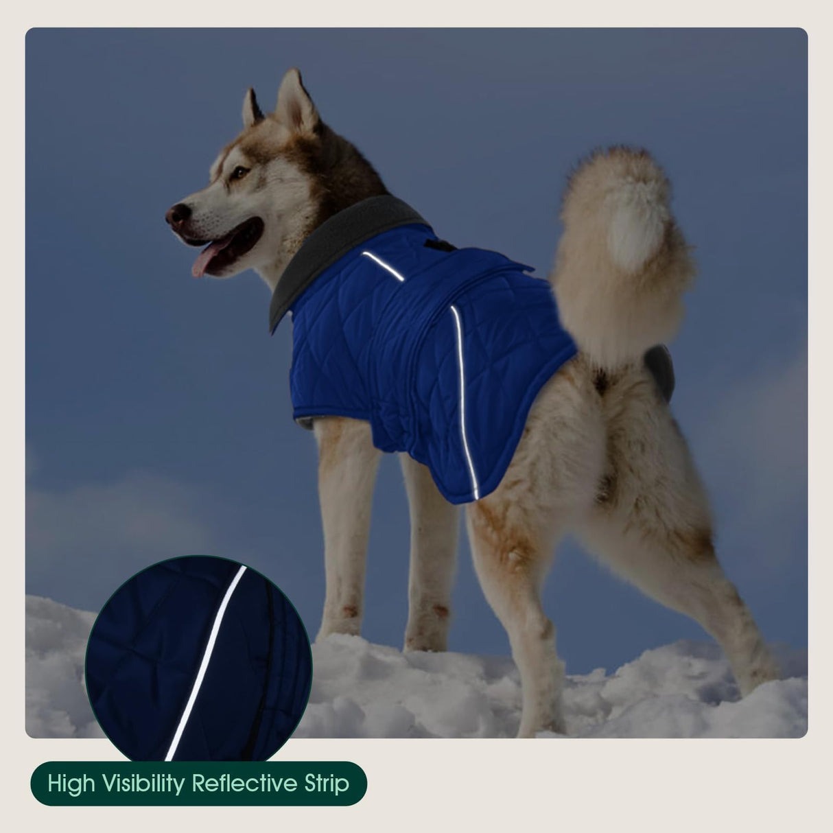 Kuoser Extra Warm Dog Coat, Windproof Cold Weather Dog Jackets for Large Dogs, Thick Fleece Lining Pet Turtleneck Snowsuit Reflective Adjustable Puppy Winter Coat Doggie Snow Jacket Blue, XL