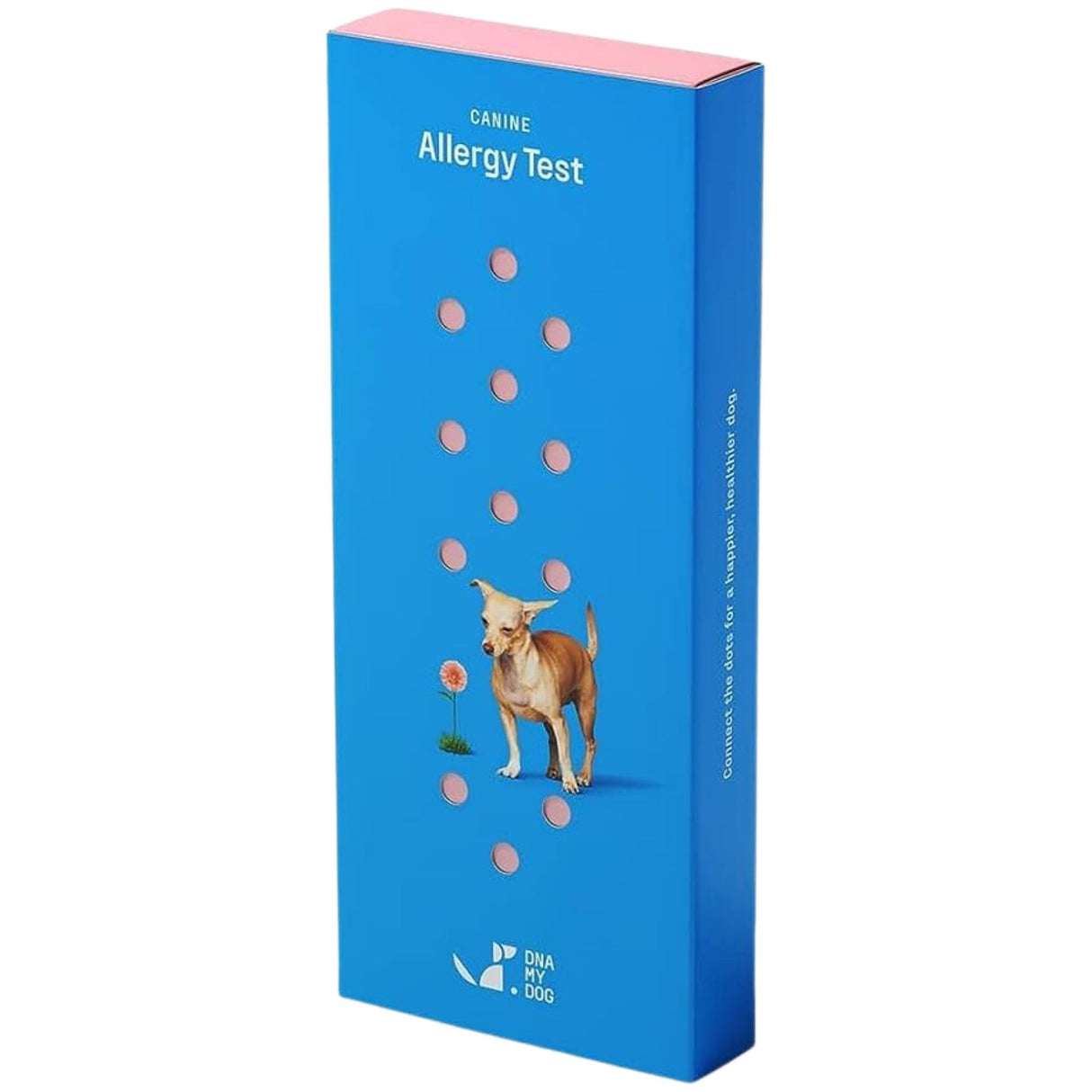 DNA MY DOG Vet-Recommended and Most Accurate Allergy Test for Itchy, Sensitive Dogs | Cheek Swab β The Gold Standard of Testing | Tests for All Common Food & Environmental Allergens | Custom Report