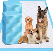 Load image into Gallery viewer, XXXXL Puppy Pee Pads for Dogs 31"x47" 40 Count, Extra Large Dog Pee Pads, Leak-Proof & Super Absorbent Dog Pee Pads, Thicken Disposable Potty Pads Puppy Training Pads for Cats Rabbits