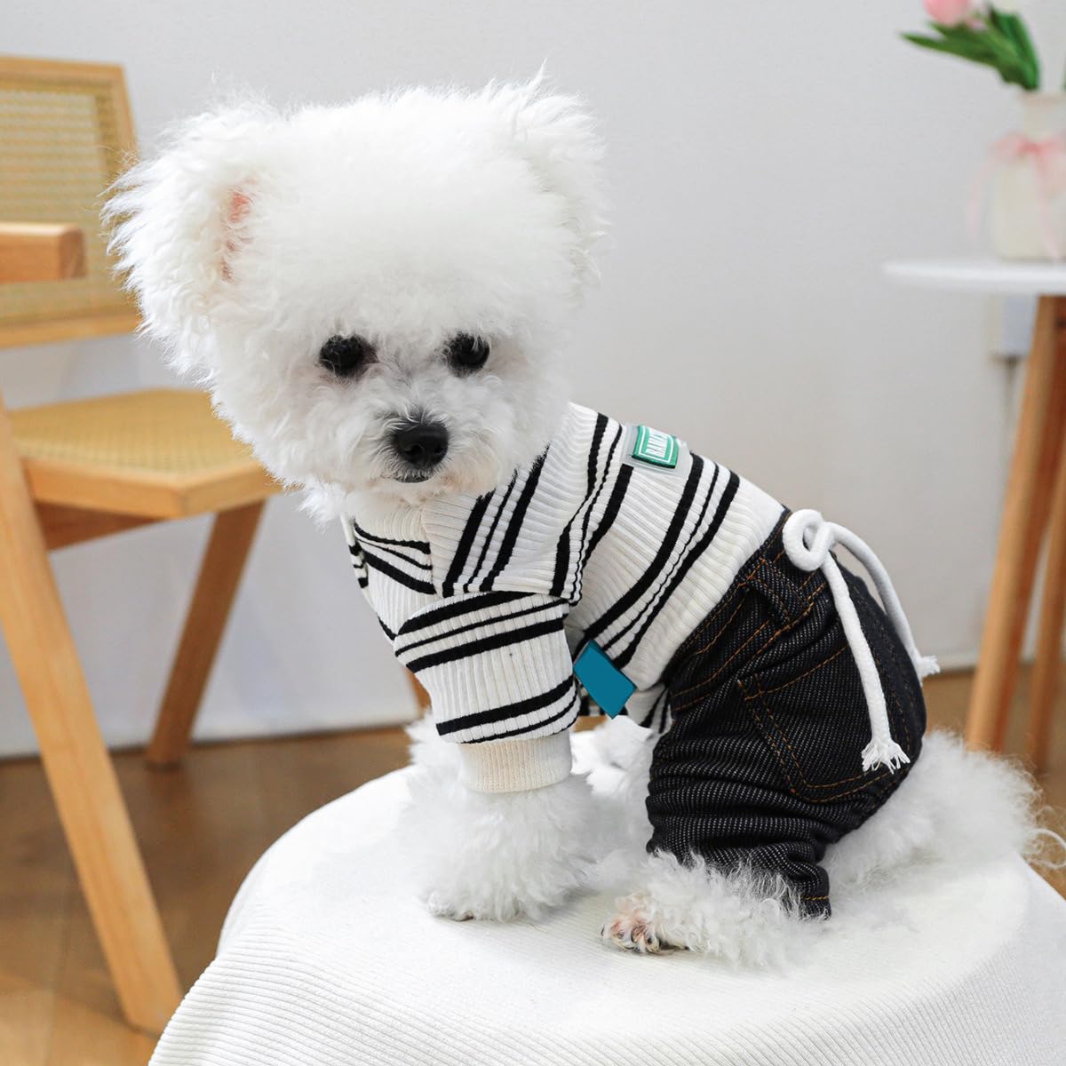 Dog Winter Clothes Pet Stylish Overalls for Small Medium Dogs Cute Puppy Jumpsuit Classic Small Dogs Boy Girl Clothes Comfortable Breathable Dog Bib Overalls Chihuahua Yorkies One Piece Outfits