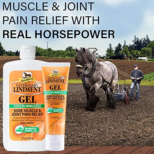 Absorbine Veterinary Liniment Gel, Topical Menthol Analgesic Rub for Sore Muscle, Joint & Arthritis Pain Relief, Combo Pack Includes 12oz Value Size + 3oz Travel Size