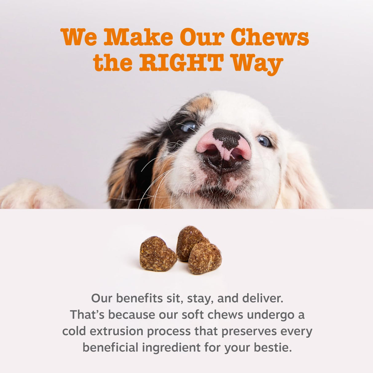 Zesty Paws Scoot Away Soft Chews - Healthy Bowel Function with Bromelain, Vita Fiber for Dogs, & Dandelion Root for Dog Digestive Support and Gut Health - 90 Soft Chews