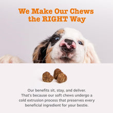 Load image into Gallery viewer, Zesty Paws Scoot Away Soft Chews - Healthy Bowel Function with Bromelain, Vita Fiber for Dogs, & Dandelion Root for Dog Digestive Support and Gut Health - 90 Soft Chews