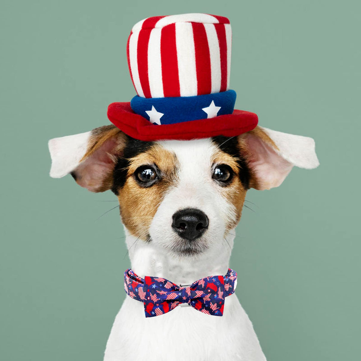 Bobo Rainbow Independence Day Dog Collar, Patriotic 4th of July Dog Collar Cute Bowtie Pet Collar Bow Tie Collar for Dogs Adjustable Puppy Collars for X-Large Dogs