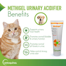 Load image into Gallery viewer, Vetoquinol Methigel Urinary Acidifier to Promote Urinary and Bladder Health for Dogs & Cats