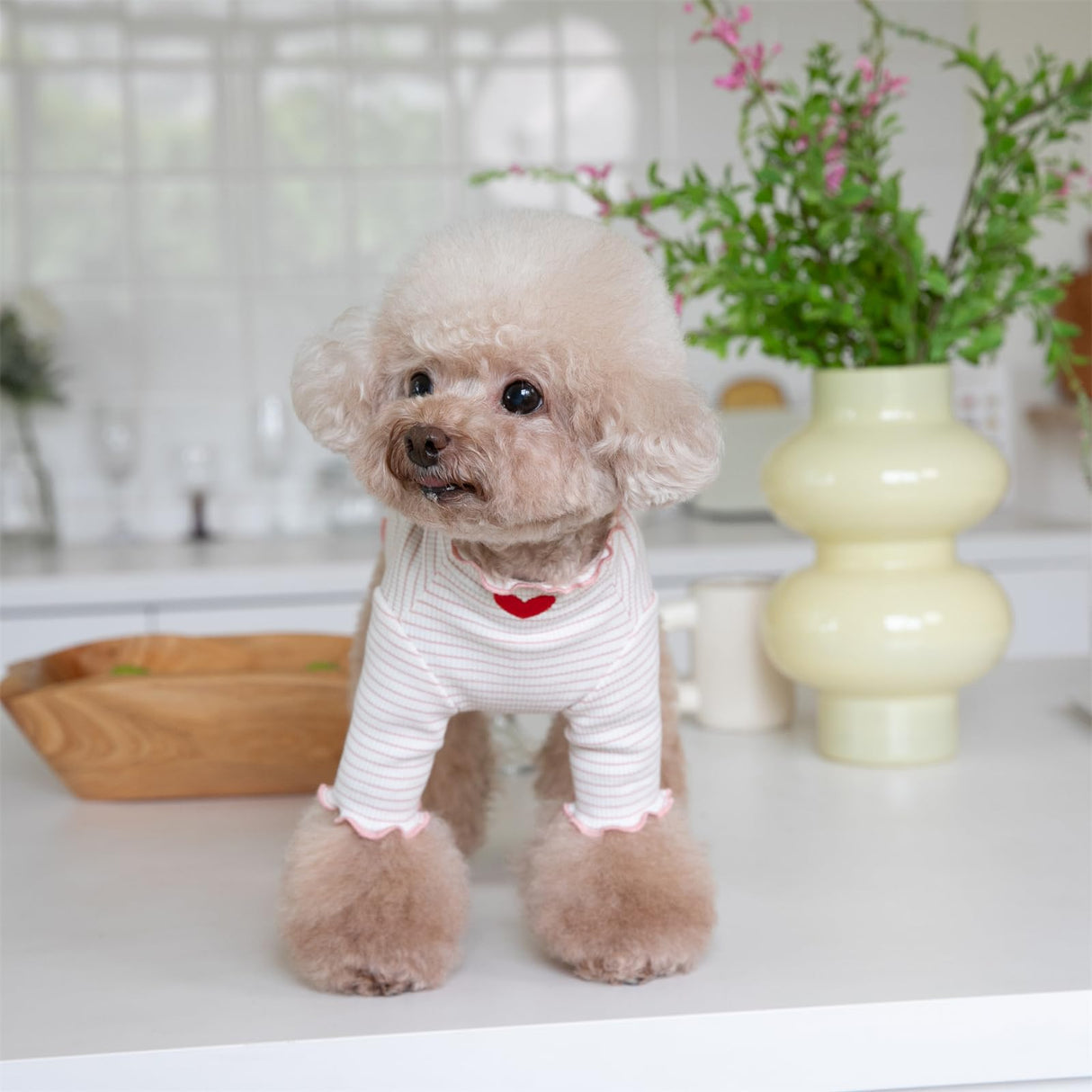 Yaopelky Dog Shirt for Small Medium Dogs Striped T-Shirt with Heart Embroidery Stretchable Ruffle Dog Clothes for Chihuahua Schnauzer Yorkie Shih Tzu (White, Medium)
