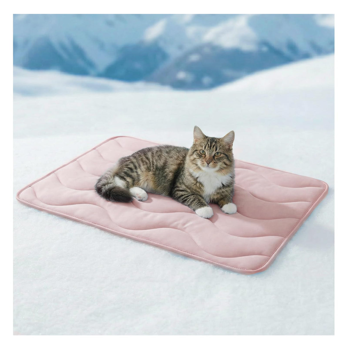 furrybaby Dog Cooling Mat for Medium Dogs, 30"x20" Self Cooling Pet Cooling Mat for Dogs & Cats, QMAX>0.5, Thickened Cool Fiber, Cooling pad for Dog Bed, Durable Portable Indoor/Outdoor Summer,Pink