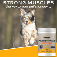 Load image into Gallery viewer, MYOS Canine Muscle Formula - All-Natural Muscle Building Supplement - Helps Reduce Muscle Loss in Dogs Due to Normal Aging and Improves Recovery from Injury or Surgery