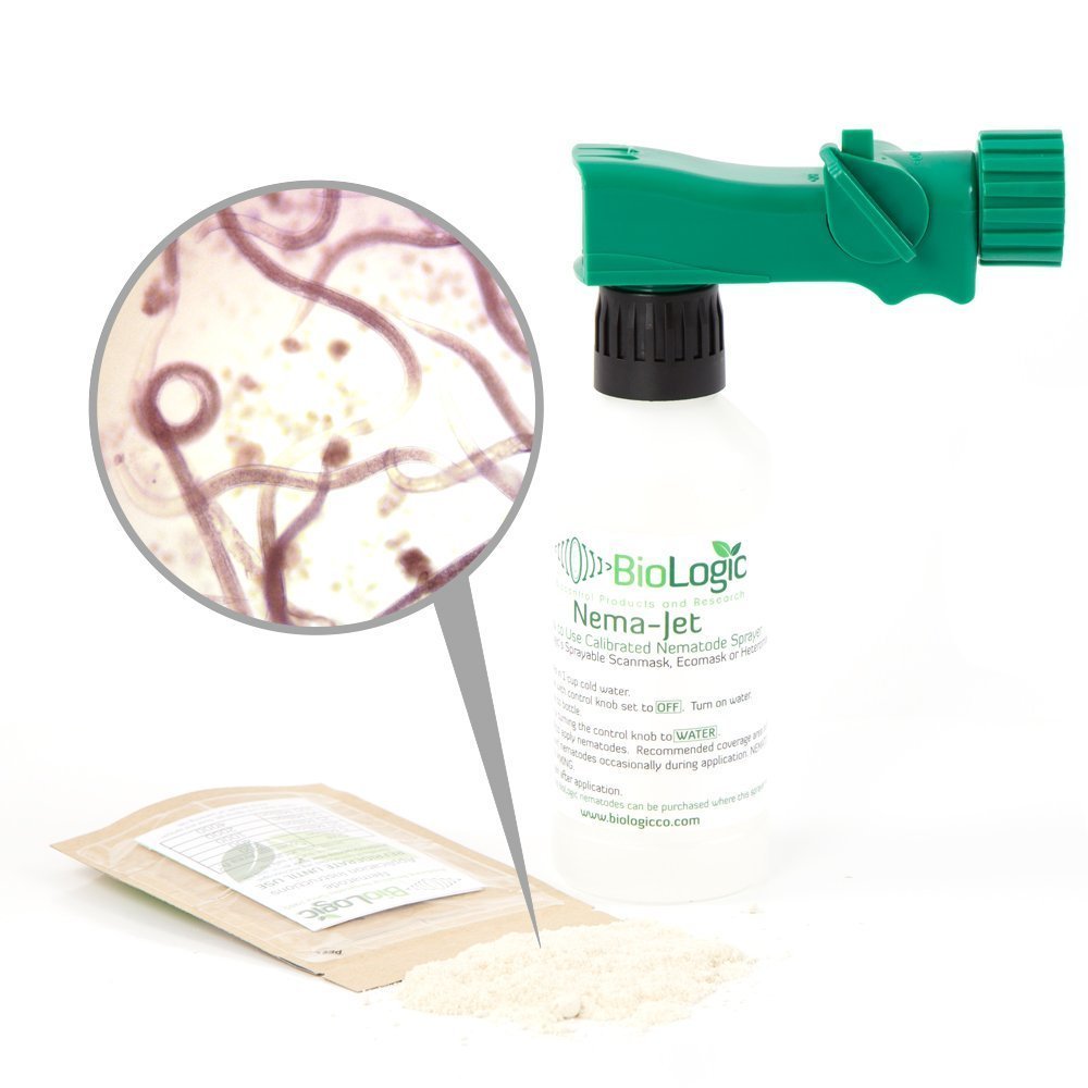 BioLogic All-Natural Pest Control Ecomask - 25 Million Steinernema carpocapsae (Sc) Beneficial Nematodes for Fleas, Armyworms, Cutworms with Nema-Jet Hose end Sprayer