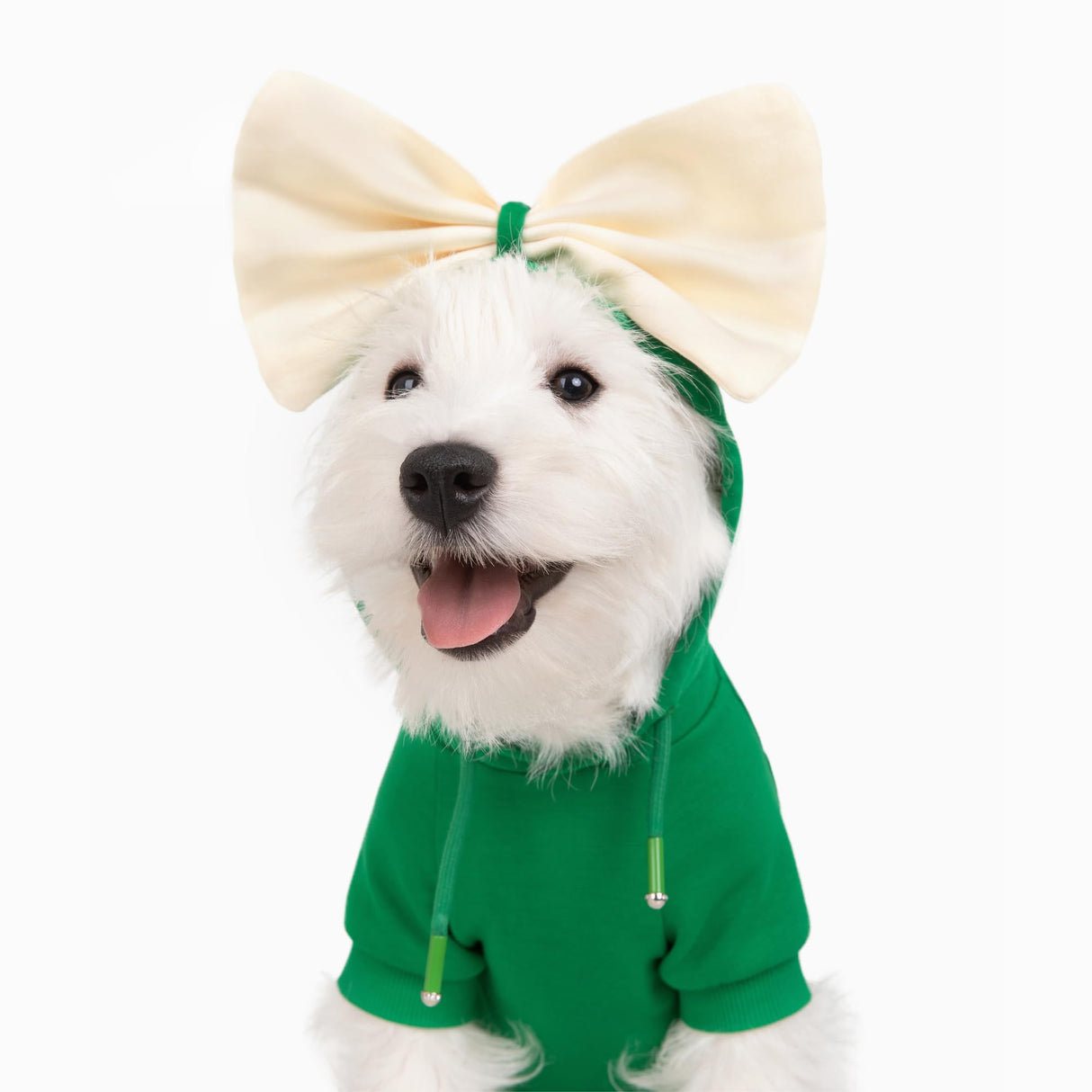 Allisandro Dog Hoodie with Interchangeable Bow Ties, Puppy Exquisite Pocket Doggie Winter Clothes, Pet Hooded Sweatshirt, L, Green
