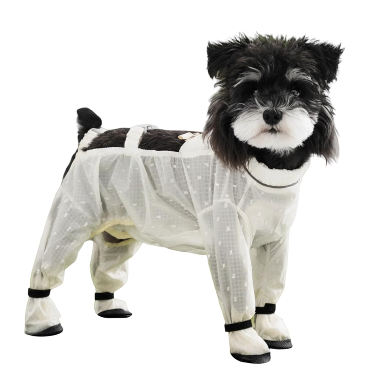 Anti Dust Pants with Shoes for Dogs, Dog Suspenders Boots, Waterproof Protective Dog Clothing, Medium Size, Jacquard Chiffon Waterproof Coated Fabric