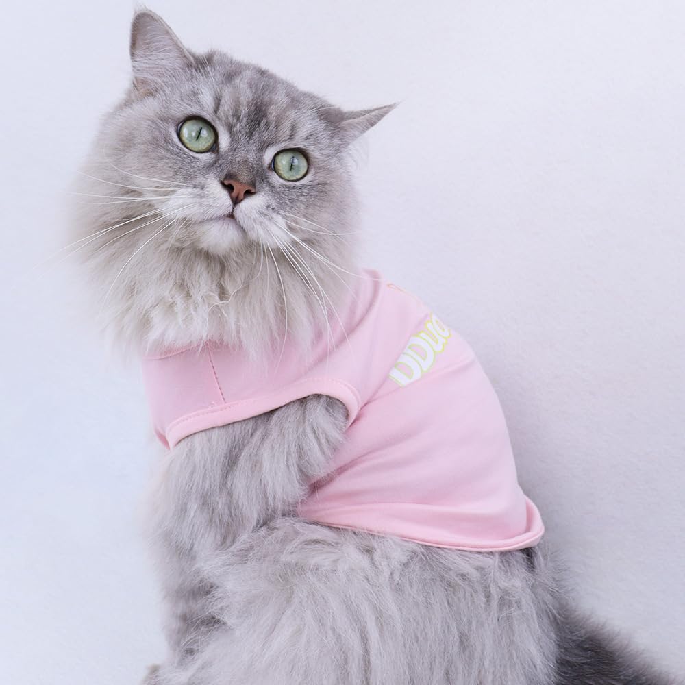 Custom Dog Shirt,Personalized Pet Apparel with Name Text Photo Image,Lightweight Breathable Puppy Kitten Cotton Vest for Small Medium Large Dogs Cats,Puppy Gift (Gray, 5X-Large)