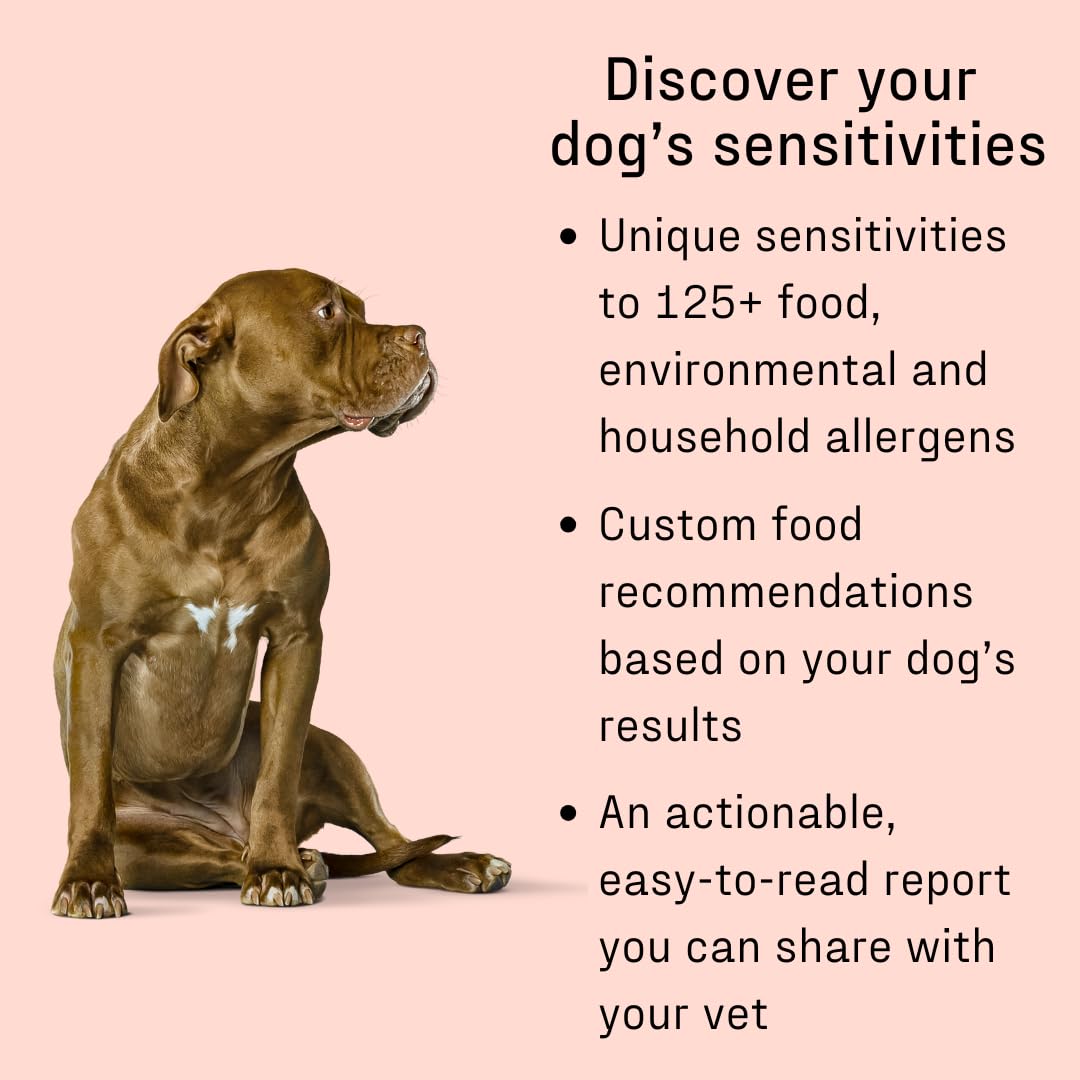 DNA MY DOG Vet-Recommended and Most Accurate Allergy Test for Itchy, Sensitive Dogs | Cheek Swab β The Gold Standard of Testing | Tests for All Common Food & Environmental Allergens | Custom Report