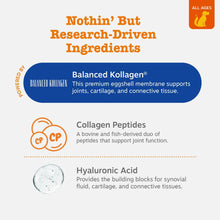 Load image into Gallery viewer, Zesty Paws Multi Collagen Soft Chews for Dogs - for Hip, Joint & Cartilage Support + Skin Health - with Collagen - Plus Eggshell Membrane, Vitamin C & Hyaluronic Acid - 90 Count