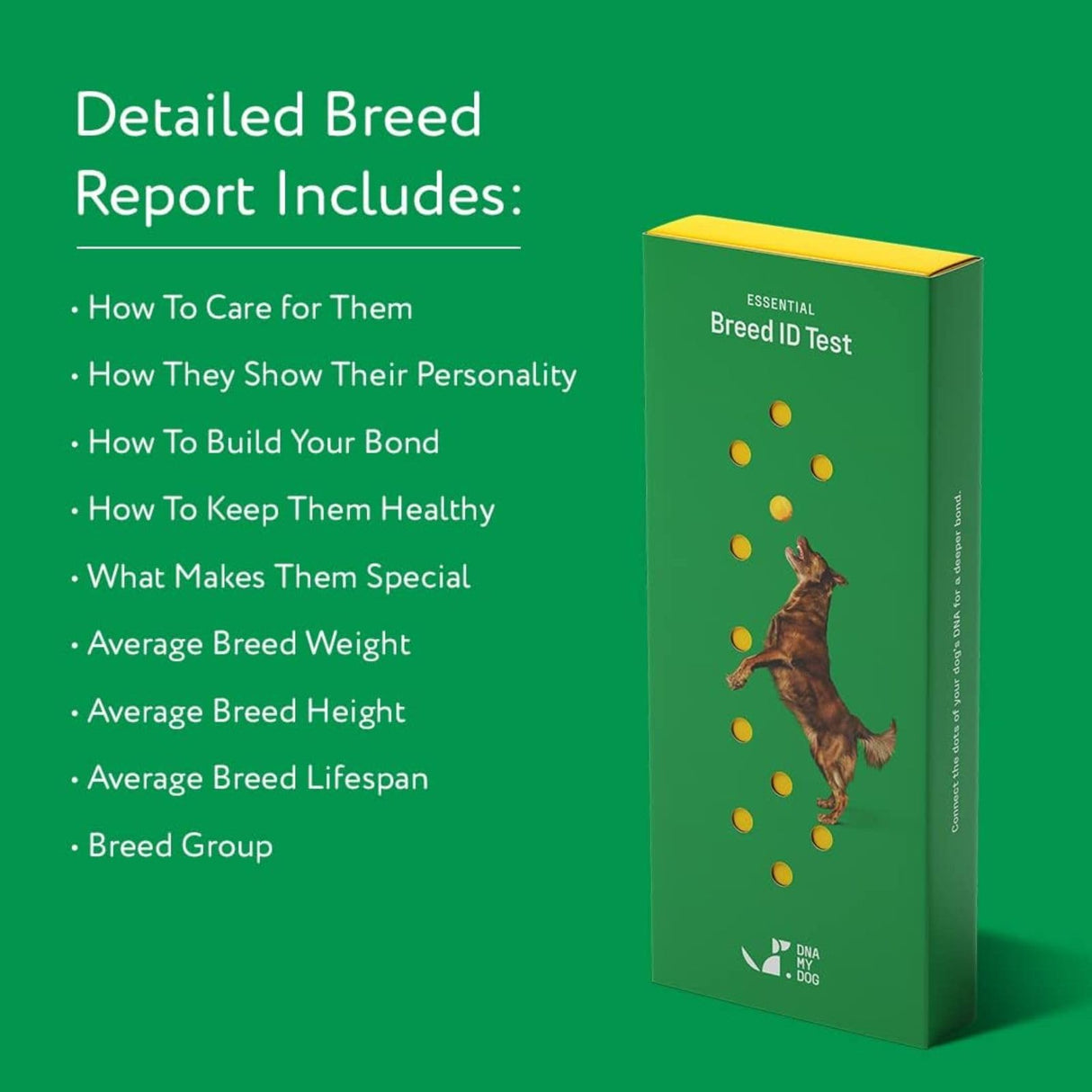 DNA MY DOG β Trusted & Affordable Breed Identification Test | 350+ Breeds Identified w/ 99%+ Accuracy | Complete Breed Analysis, Personality and Behavior Insights | Easy Cheek Swab, Results in 2 Weeks