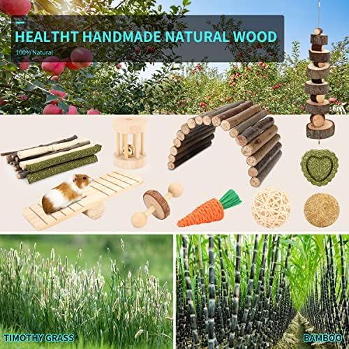 Hamster Cage Accessories, 12 Different Chew Toys for Guinea Pig, Chinchillas, Gerbils, Mice, Rats, Mouse, Rabbit, Bunny Hideout Seesaw, Natural Molar Tools