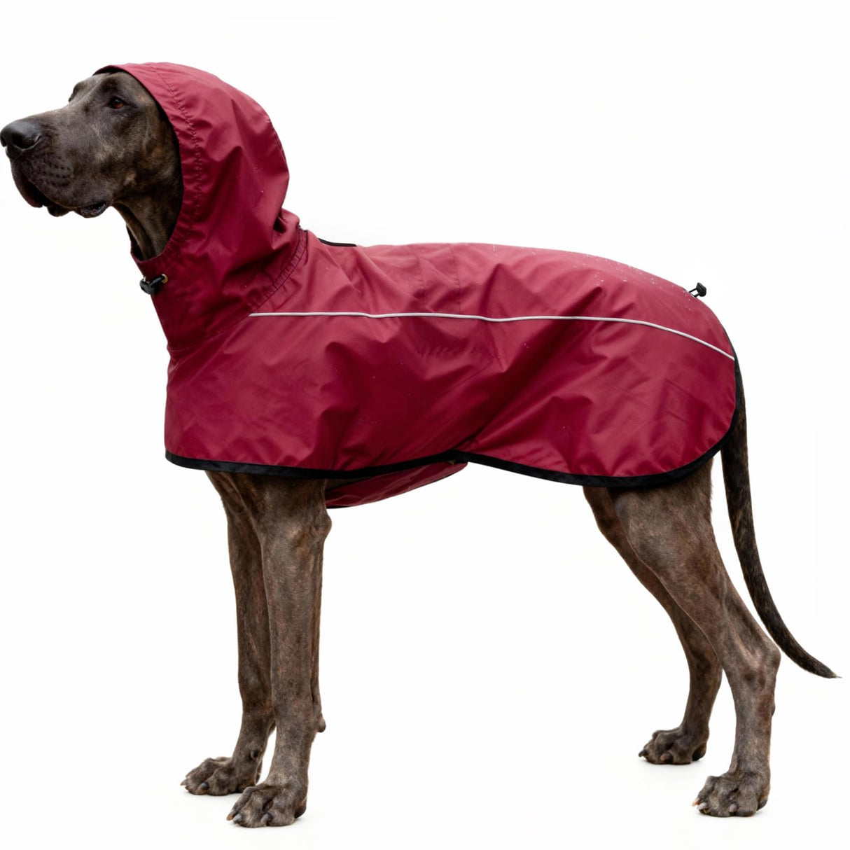 Mosucoirl Dog Raincoat Jacket Reflective Adjustable Hooded Pet Poncho Rain Coats with Leash Hole Waterproof Clothes for Small Medium Large Dogs (Red, L)