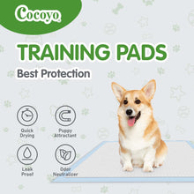 Load image into Gallery viewer, COCOYO Best Value Training Pads 100 Count 13“ by 17.7”| Dog Pee Pads | Super Absorbent Puppy Pads,Blue