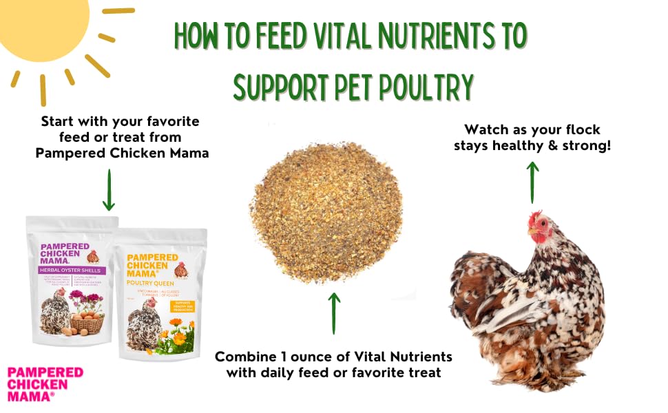 Vital Nutrients: Chicken Vitamins for Feed & Molting Supplement, Egg Booster, Poultry & Chicken Vitamins - Pampered Chicken Mama (5 pounds)
