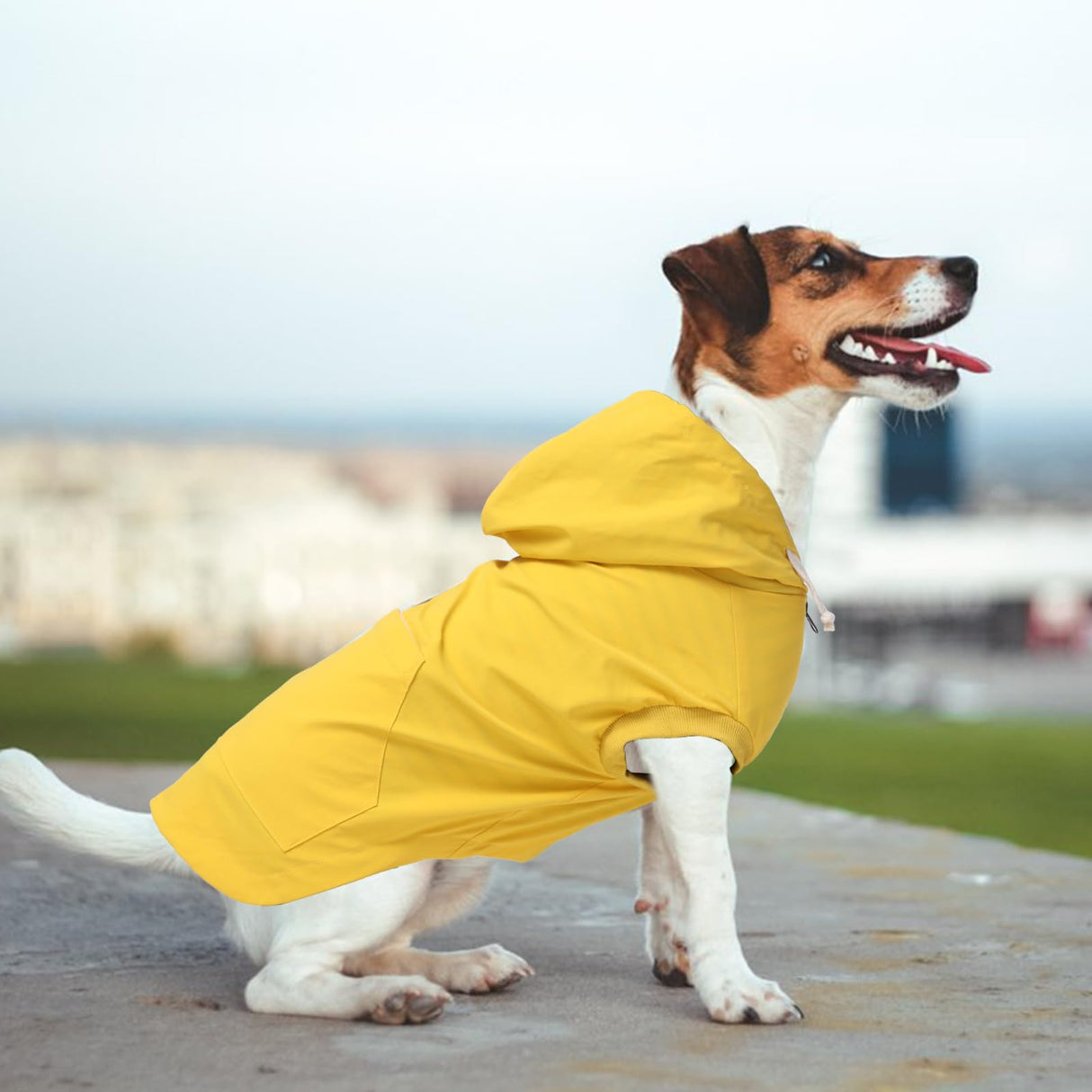Dog Raincoat rain Jacket Dogs Waterproof fit for Small Medium Breeds Zipper Closure Pocket Storage in Cold Day - Yellow - S
