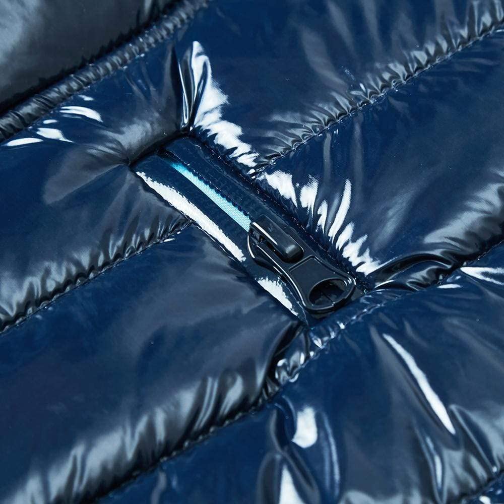 Blueberry Pet Cozy & Comfy Windproof Lightweight Quilted Fall Winter Glossy Dog Puffer Jacket in Navy Blue, Back Length 12.5", Size 10, Warm Coat for Small Dogs