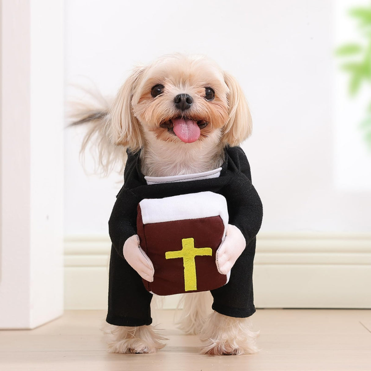 Layheld Cat Costume Dog Clothes Funny Priest with Bible Nun Outfit Stand-Up Design for Pet Cosplay Cute Photoshoot Pet Outfit for Cat Small Dog (Priest with Bible,X-Small)