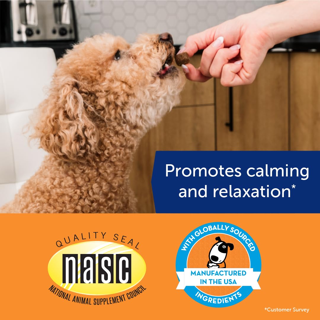 ThunderWunders Hemp Dog Calming Chews | Vet Recommended for Situational Anxiety | Fireworks, Thunderstorms, Travel & More | Made with Hemp Seed, Thiamine, L-Tryptophan, Melatonin & Ginger (60 Count)
