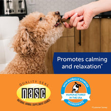 Load image into Gallery viewer, ThunderWunders Hemp Dog Calming Chews | Vet Recommended for Situational Anxiety | Fireworks, Thunderstorms, Travel & More | Made with Hemp Seed, Thiamine, L-Tryptophan, Melatonin & Ginger (60 Count)