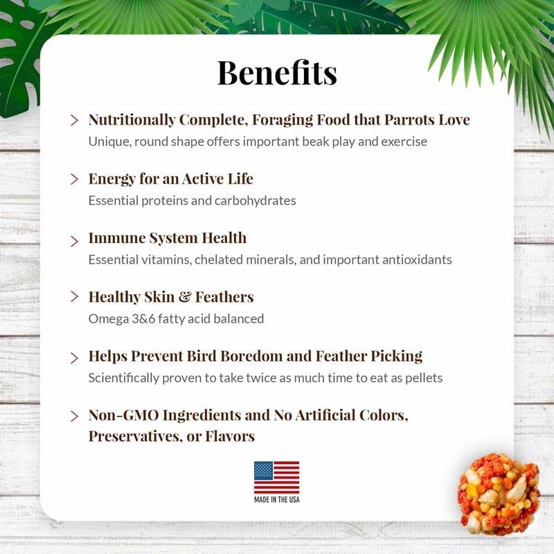 LAFEBER'S Tropical Fruit Nutri-Berries Pet Bird Food, Made with Non-GMO and Human-Grade Ingredients, for Parrots (10 oz Pack of 2)