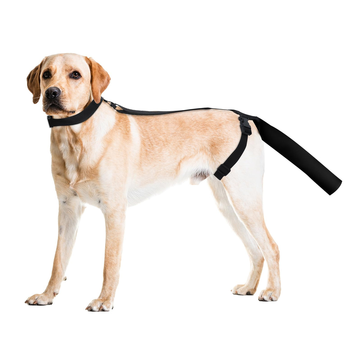 OHCOZZY Dog Tail Protector for Wounds, Adjustable Dog Tail Protector Sleeve for Medium and Large Dogs, Anti Licking(L,Black)
