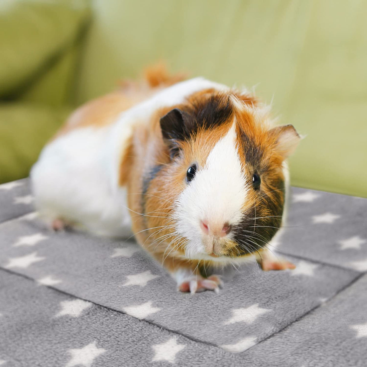 Tierecare 5PCS Guinea Pig Bed Soft Rabbit Bedding Cage Liner Warm Bunny Mats Pee Pads Fleece Blanket Plush Hamster Sleep Beds Ferret Squirrel Hedgehog Rat