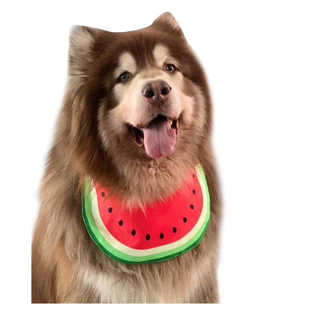 Pet Dog Bib Dog Bandana Cartoon Watermelon Pet Neckerchief Dog Costume Accessory Summer Waterproof Pet Bib for Medium & Large Dogs Golden Retriever Alaskan Samoyed (XX-Large,Red)