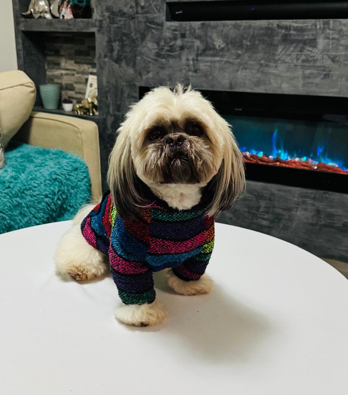 Mi Ponchito Dog Clothes - Handmade Hoodie Sweater from Authentic Mexican Jerga (3X- Large)