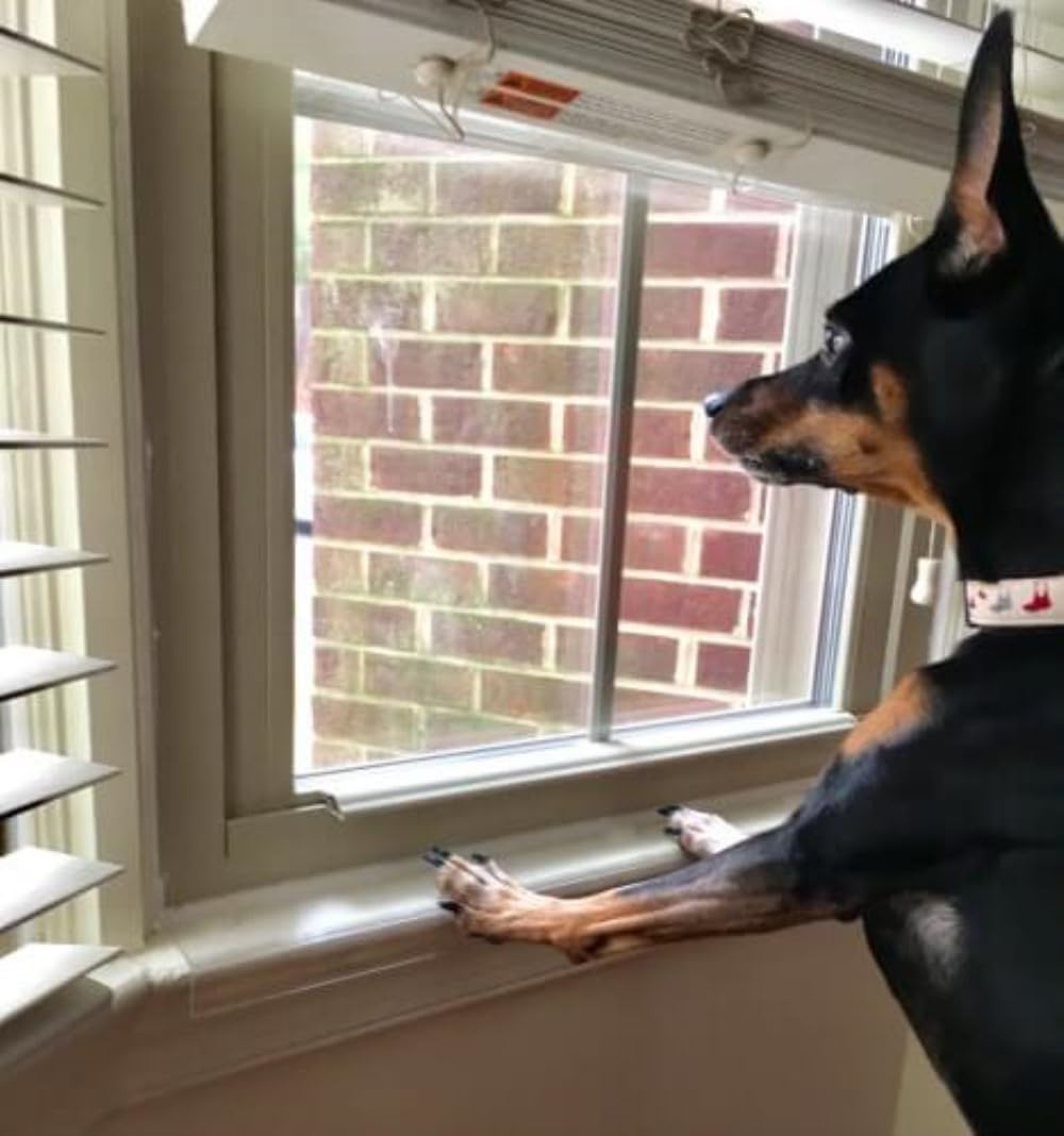 26.5 in. Long x 5.25 in. deep - Clear Cat and Dog Window Sill Protector - Durable Rigid Windowsill Cover Guards Against Pet Claws, Scratching, Drooling, Box of 1 Sill Protector with Mounting Coins