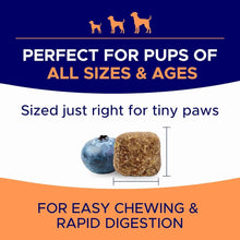 Load image into Gallery viewer, Dog Allergy Relief Chews — Anti-Itch Skin & Coat Supplement: No Fillers, Just Flavor - Itchy Skin Relief Treatment w/Omega 3 Fish Oil - Itching&Paw Licking - Dry Skin&Hot Spots - BBQ Chicken