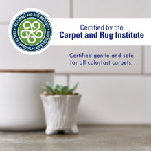 Load image into Gallery viewer, Rocco & Roxie Supply Co. Stain & Strong Odor Eliminator, Enzyme Cleaner, Pet Odor Eliminator for Home - Carpet Stain Remover for Cats & Dog Pee - Urine Destroyer - Carpet Cleaner Spray Clear, 32 Fl Oz