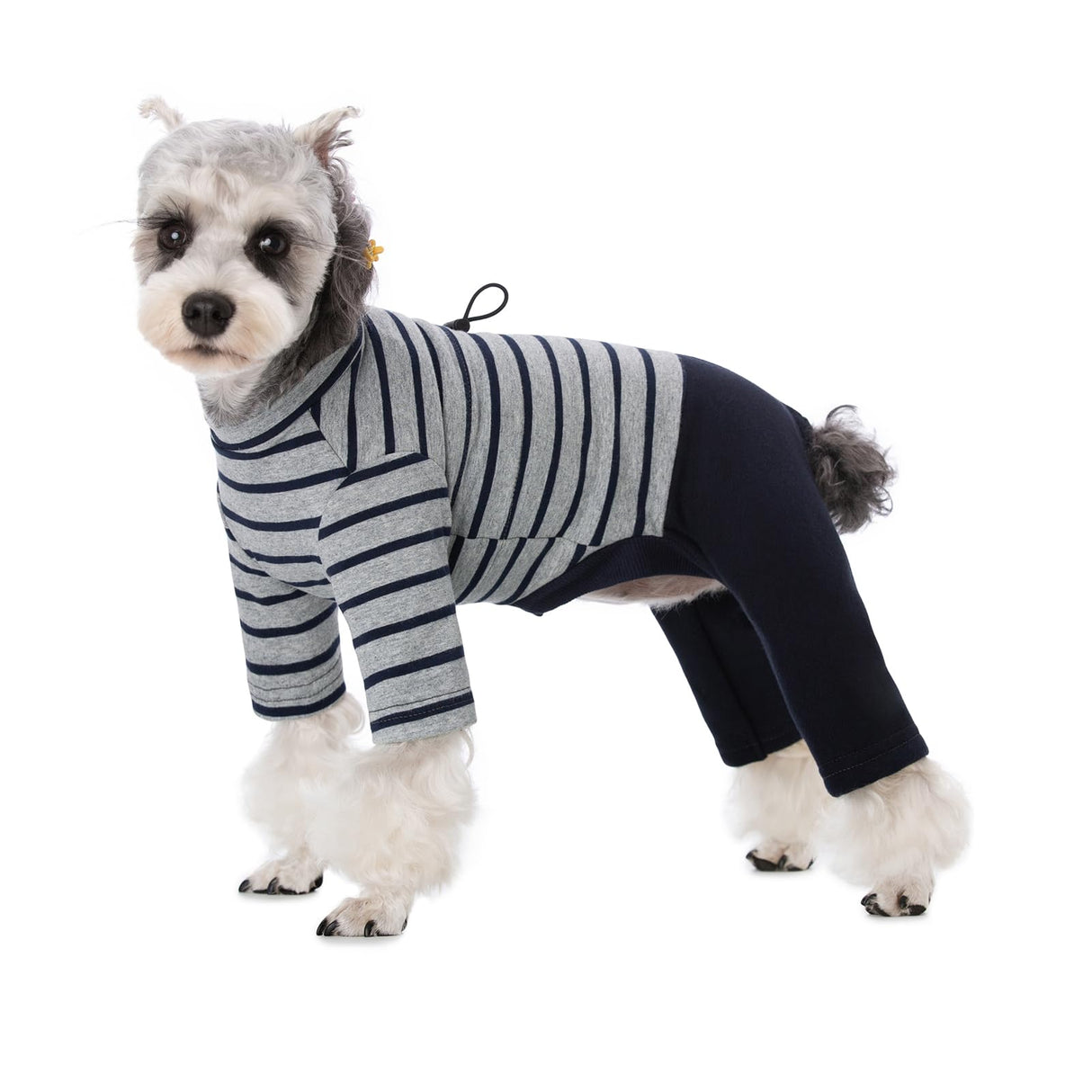 Winter Coat for Dogs - Warm Cotton Cold Weather Striped Round Neck Pajamas, Long Sleeves Jumpsuit, Color-Blocked Clothes for Small Medium Dogs, Onesie Anti Hair Shedding