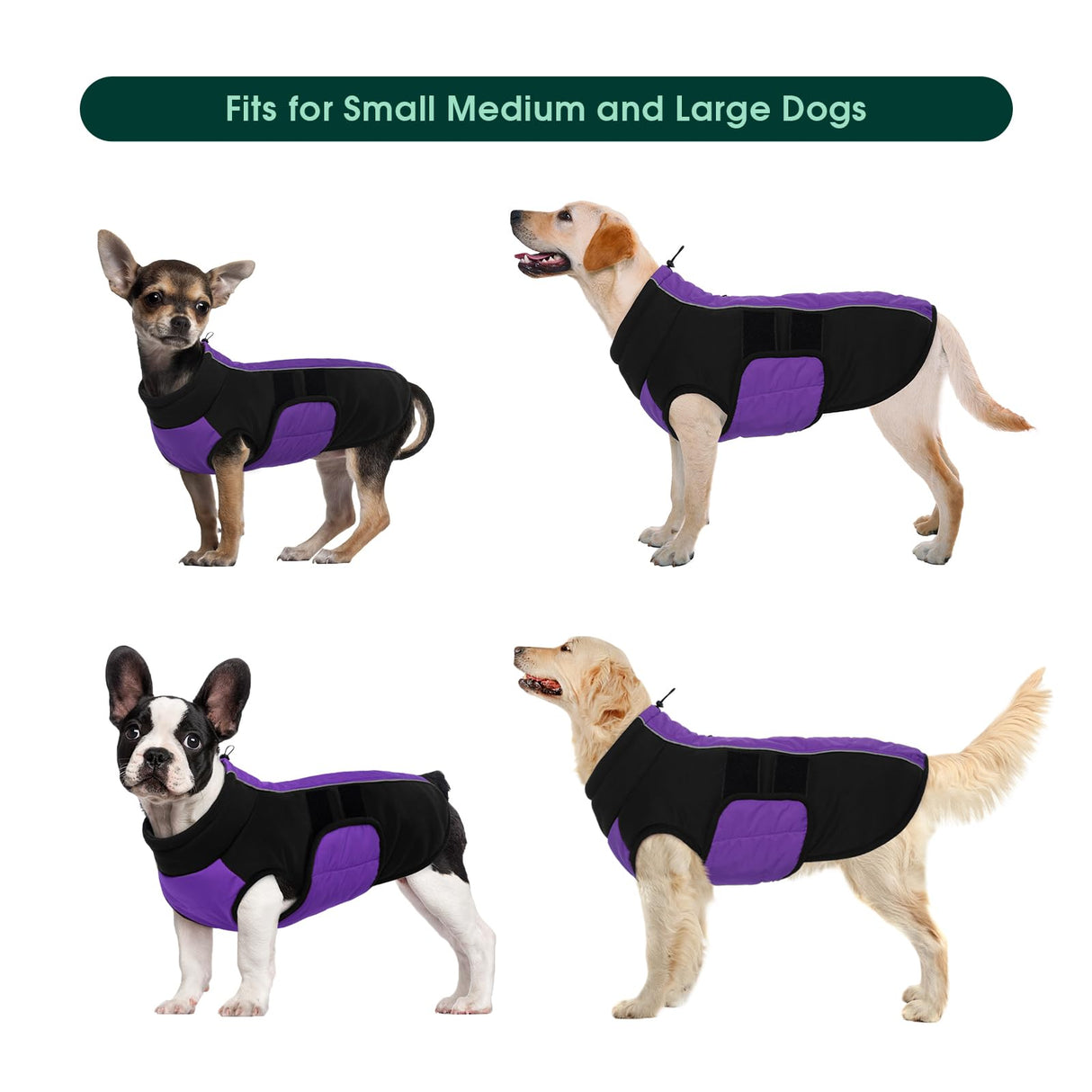 Kuoser Dog Jacket, Dog Coats for Large Dogs Winter Waterproof, Reflective Doggie Vest with Leash Hole, Cold Weather Coats Pet Snow Jacket for Labrador Beagle, Purple XL