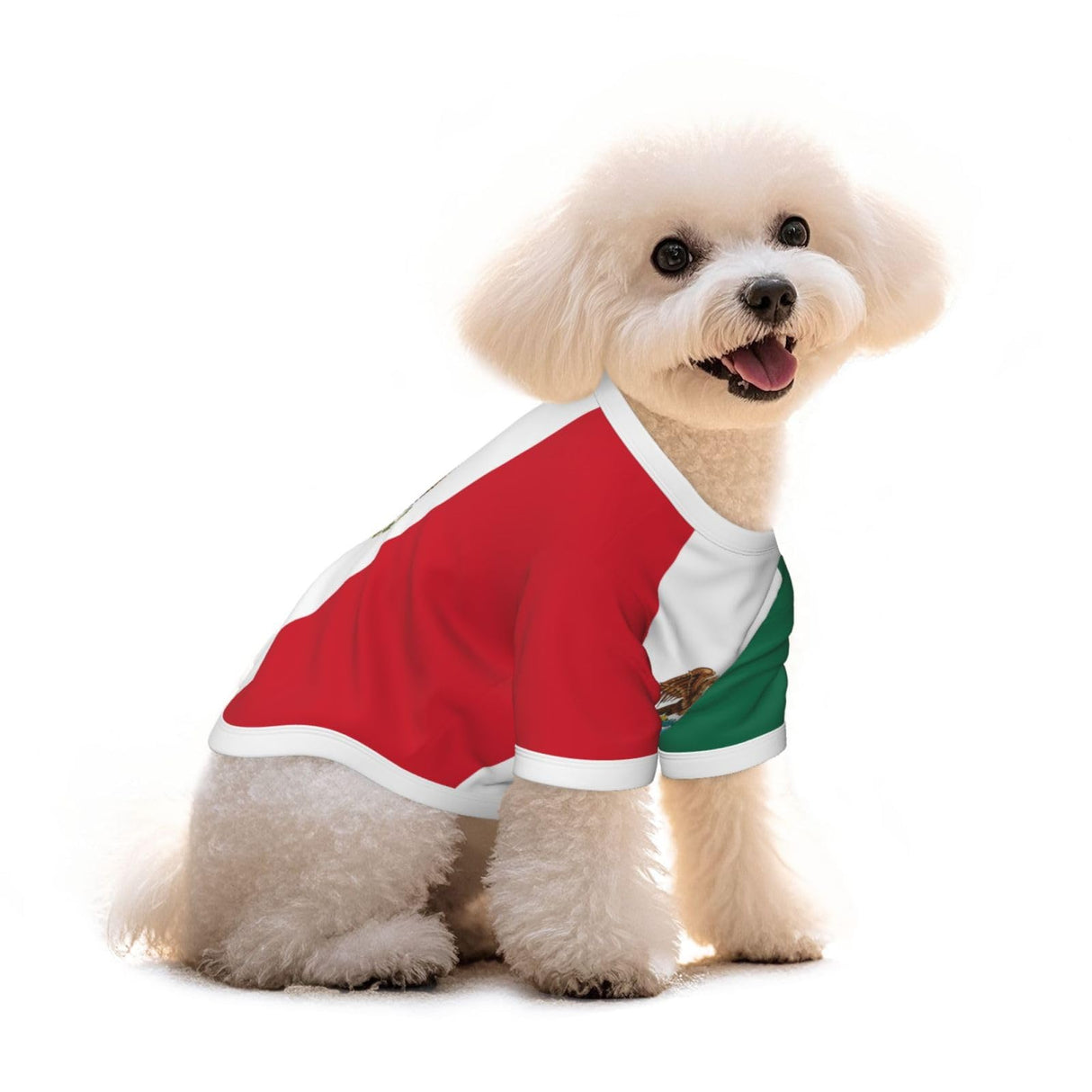 GHRNYTGVF Mexico Flag Pattern Small Pet T-Shirt Short Sleeve Dog and Cats Tees, 100% Cotton and Lightweight Dog Clothes Small