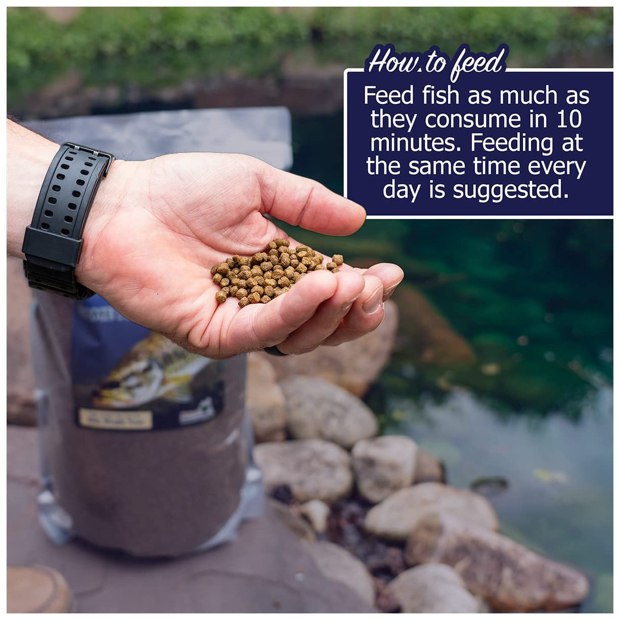 Natural Waterscapes Game Fish Food Variety | Pond and Lake Fish Food Pellets | 22 lb Bag | Feed to Bass, Bluegill, Trout, Catfish, tilapia | Floating Pellets