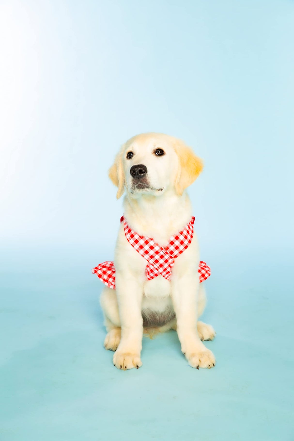Doggy Parton Red Gingham Overalls Dress for Pets, Large (22120771)