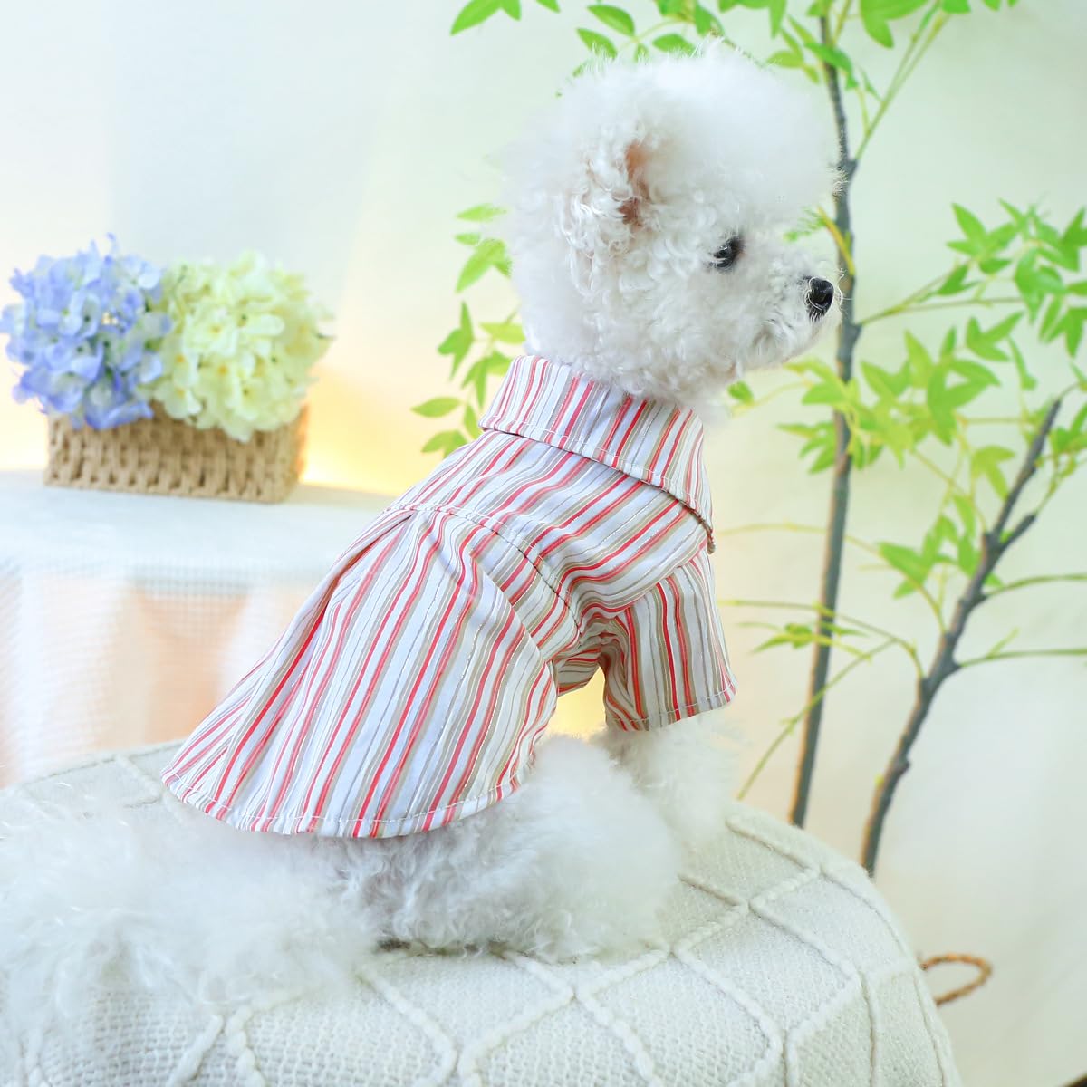 Dog Shirts for Small Dogs Cat Apparel Overalls Puppy Striped Pajamas Breathable Vest Summer Sweatshirt Lightweight Pet Clothes Birthday Holiday Outfits Red M