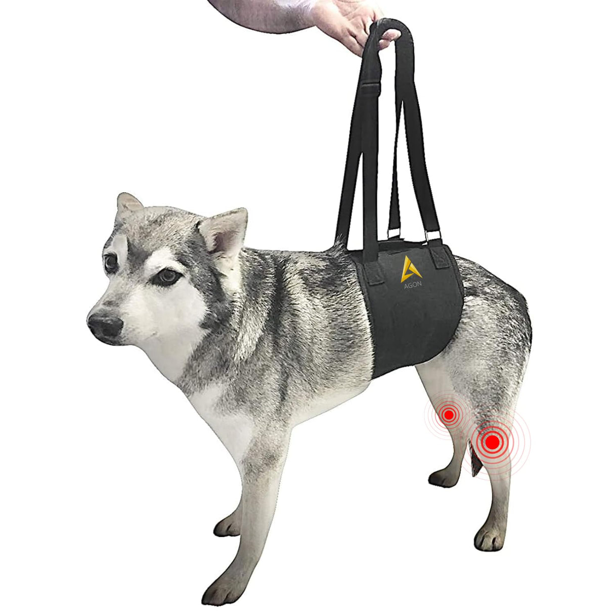 AGON Canine Dog Sling Carrier Support Back Legs Hip Knee Hock Joint Harness to Help Lift Dogs Rear Aid and Old K9 Cruciate (Small, Black)