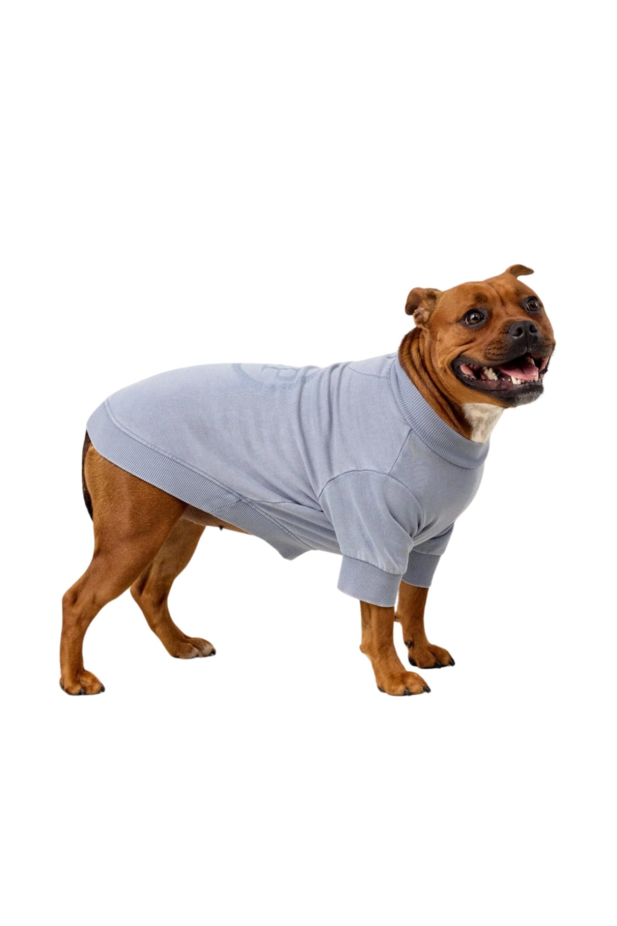 Darren & Phillip BFF Dog Sweatshirt | Slate β 100% Cotton French Terry, Soft & Breathable Pullover for Dogs, Stylish & Comfortable Pet Sweater, Matches Darren & Phillip Human Sweatshirt Loungewear
