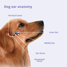 Load image into Gallery viewer, TrizULTRA+Keto Flush, 12 oz