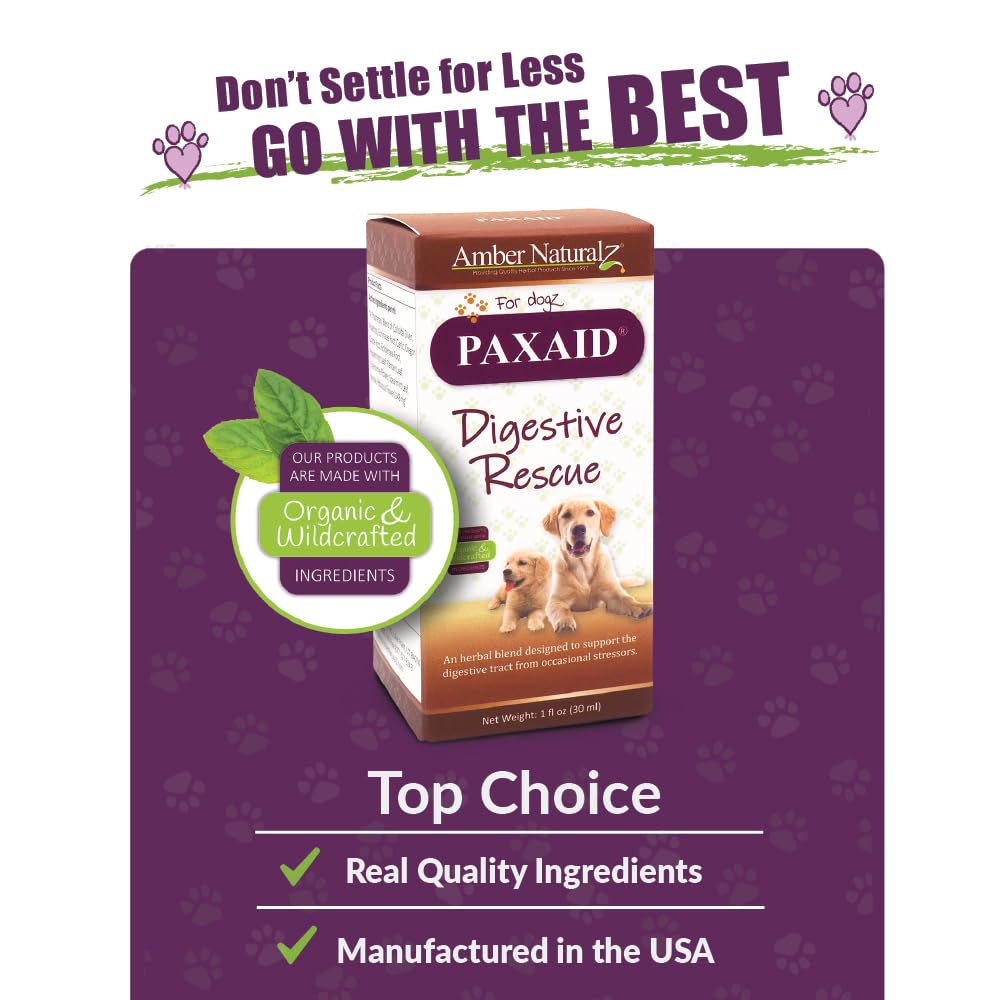 Amber NaturalZ Paxaid Digestive Rescue for Dogs and Puppies | Supports Normal Appetite, Gut Function, and Stool Consistency During Occasional Gastric Discomfort and Dietary Changes 1 Fluid Ounce