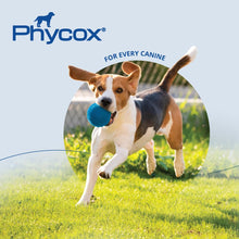 Load image into Gallery viewer, Phycox MAX Dog Joint Supplement Soft Chews, 90 Ct