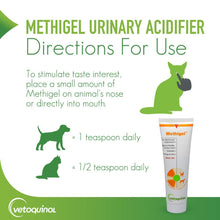 Load image into Gallery viewer, Vetoquinol Methigel Urinary Acidifier to Promote Urinary and Bladder Health for Dogs & Cats